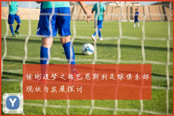 徐彬追梦之路巴恩斯利足球俱乐部现状与发展探讨