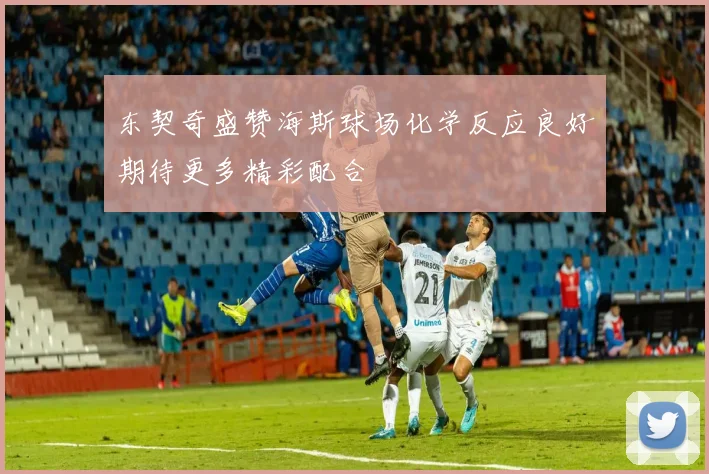 东契奇盛赞海斯球场化学反应良好期待更多精彩配合
